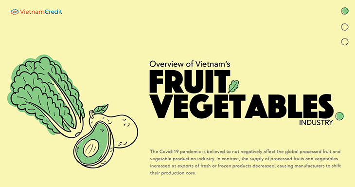 Overview of Vietnam’s fruit and vegetables industry 